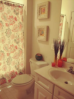 bathroom, renovation, interior design, orange color