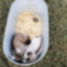 original?tenant=vbu-digital