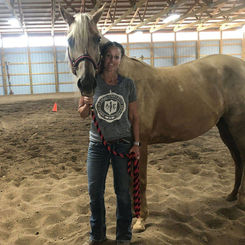 original?tenant=vbu-digital