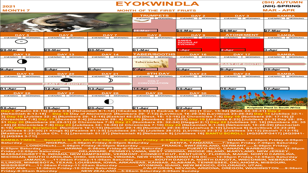 original?tenant=vbu-digital