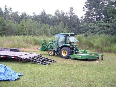 Field before mowing