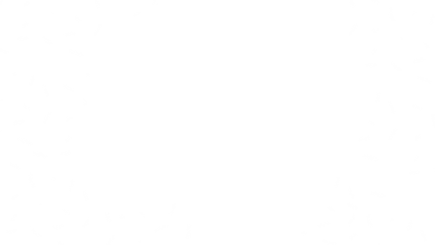 Vills Bros Brazilian Jiu-Jitsu logo