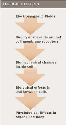 emf health effects