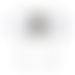 Brooklyn Nets, Jason Kidd, Plumlee, Yo Brooklyn!