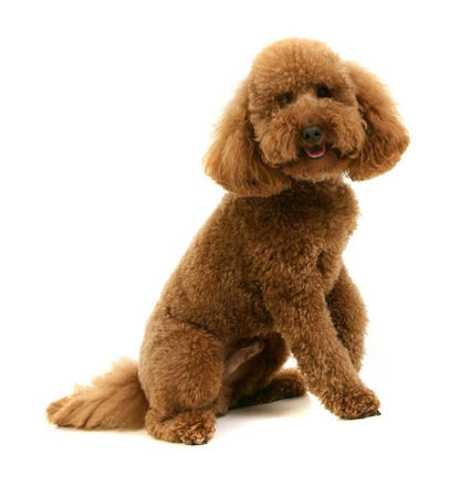 original?tenant=vbu-digital