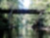 ghosts Brookdale haunted river