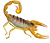 Scorpion Icon