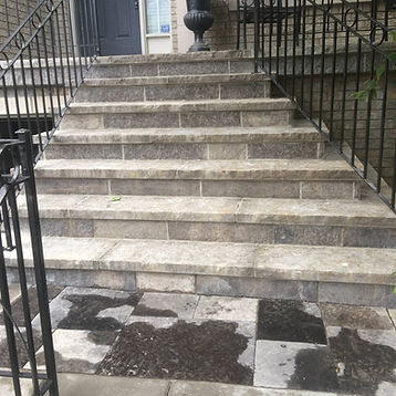 step restoration photo 2