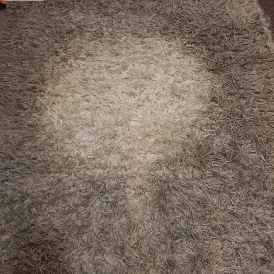 carpet before cleaning