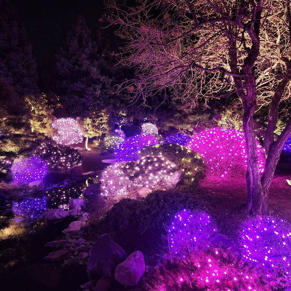 Here's what we've been working on