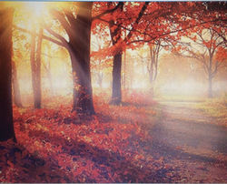 The Sun in Your Life