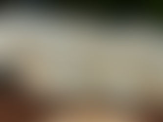 Die Auslastung von Herdenschutzhunden