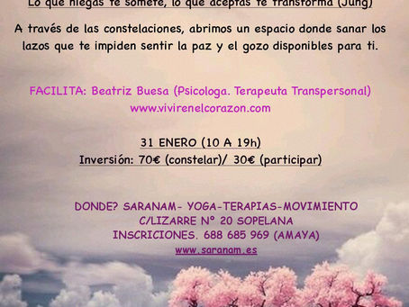 Taller de Constelaciones Familiares, el 31 de Enero 2015, en Sopelana