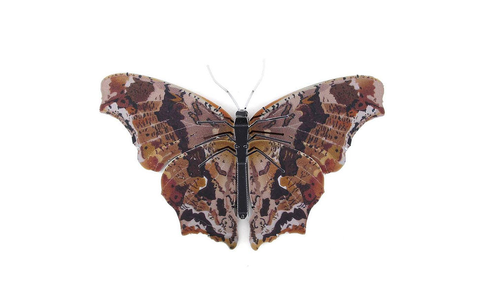 Miniaturbild: Metal Earth Eastern Comma Butterfly Farbiger Edelstahl 3D-Metallmodell