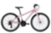 Reid Viper 24" Kids Bike