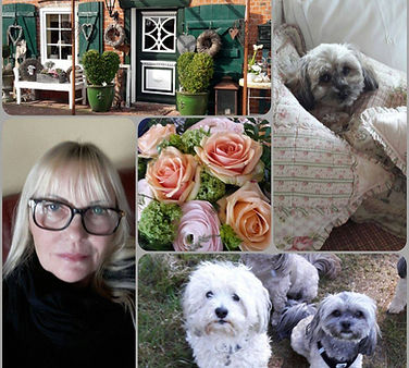 Kleine Landhaus-Hundepension Struvenhütten www.hunde-pension-sh.de