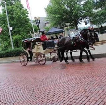carriage for hire, youngstown carriage ride, akron carriage ride, cleveland carriage ride