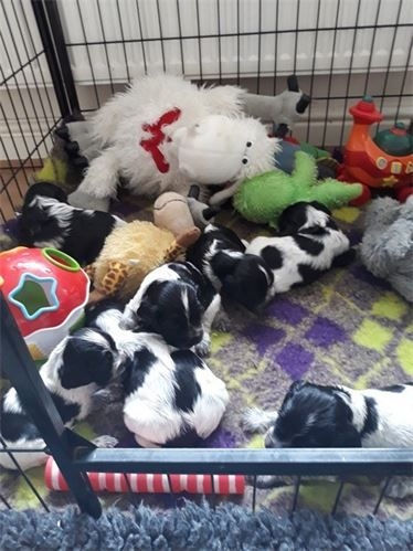 original?tenant=vbu-digital