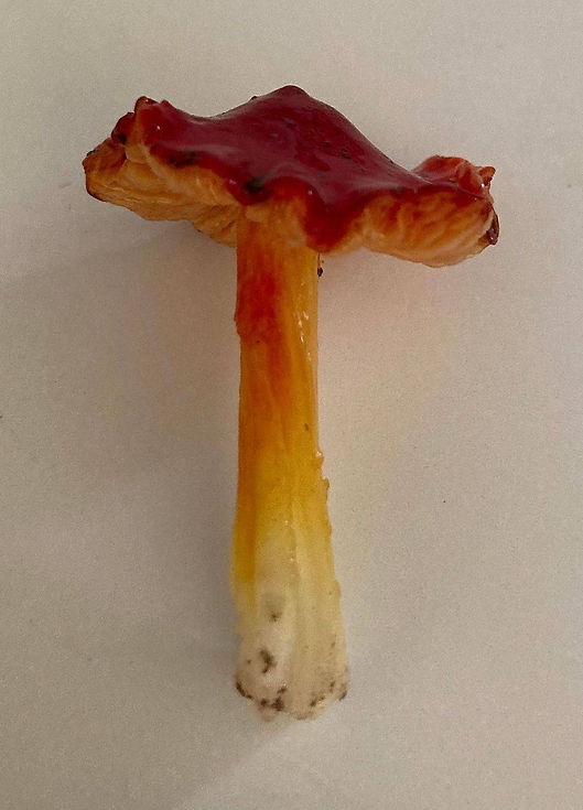 Scarlet, Waxy, Cap, Hygrocybe,punicea