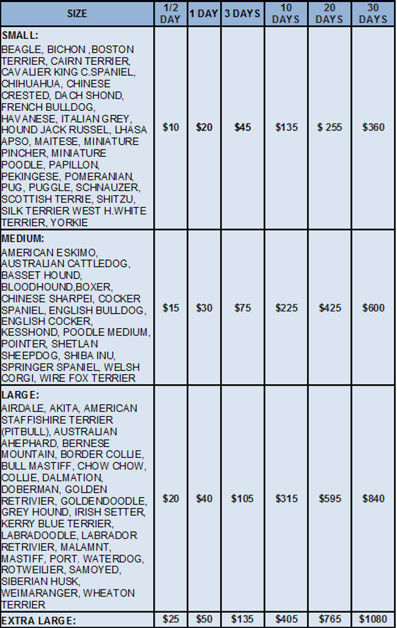 day care tab price