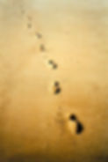 Footsteps in the Sand