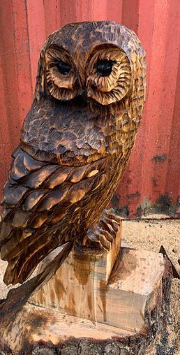Mike Burgess - Chainsaw Artist - NEW! Chainsaw Carvings