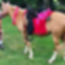 Girl wearing bunny ears standing next to white horse wearing bunny ears