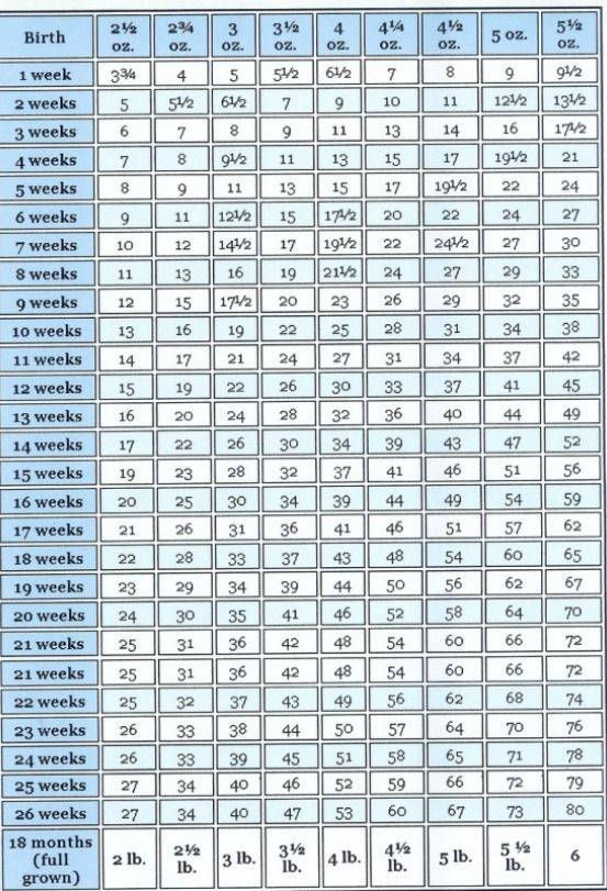 Chihuahua Puppy Weight Chart