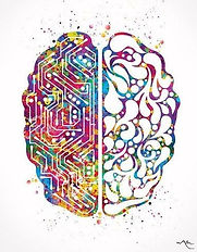 A brain in two hemispheres. One side is a maze of circuits. One side is an artistic rendering of water droplets flowing into a concentrated pattern. The artwork is in rainbow watercolors. California BrainWaves, CABrainWaves.org