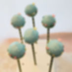 Scrubs cake pop, healthy heart cake pop, graduation cap cake pop