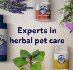 original?tenant=vbu-digital