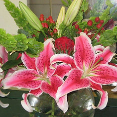 Holiday Delight Bouquet