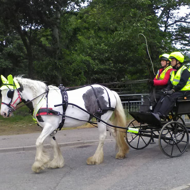 Carrbridge Carriage Driving