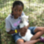 original?tenant=vbu-digital