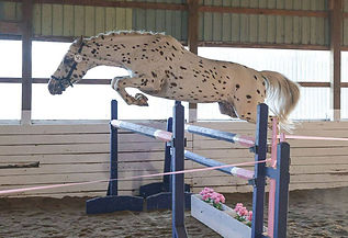 Pyxis jump