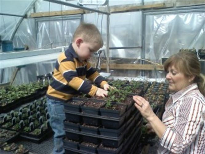 original?tenant=vbu-digital