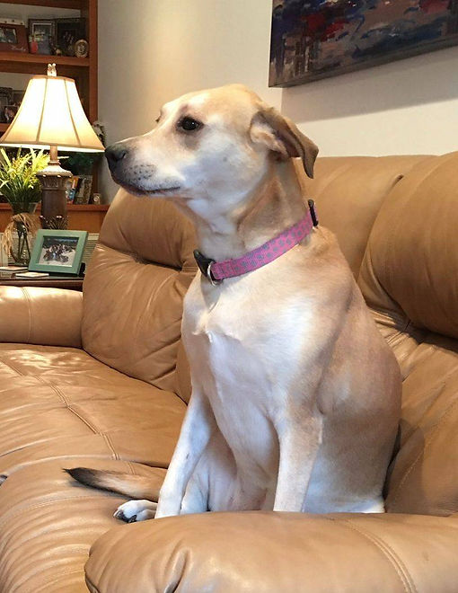 original?tenant=vbu-digital