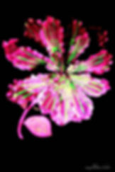 Photograph: Jana Simon Model: Insa H&M: Donatella Vursavas