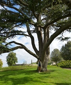 fantasy wereld, fantasy world, kracht van de natuur, hoofpersonages