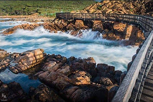 original?tenant=vbu-digital