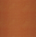 bgImage