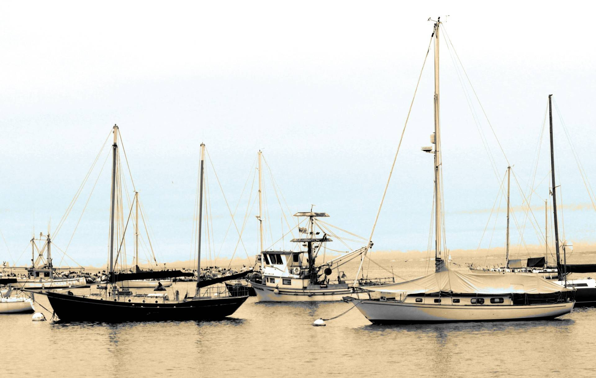 Docked in Monterey Harbor