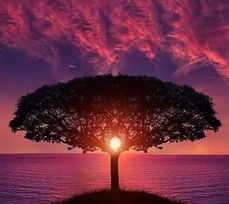 Find a counsellor in Stevenage. Find a counsellor in Hertfordshire