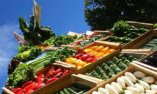 Ganzheitliche Ernährung, Ernährung nach Blutanalyse, Nahrungsmittelunverträglichkeiten testen , Vortrag Nahrungsmittelunvertr