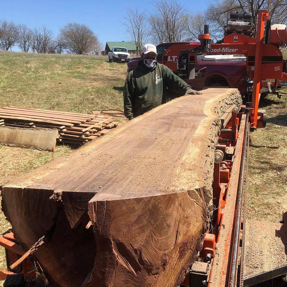 knotheads wood services Saw Milling Walnut