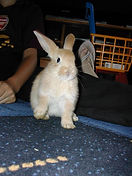 original?tenant=vbu-digital