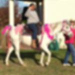 Padreena horse rides