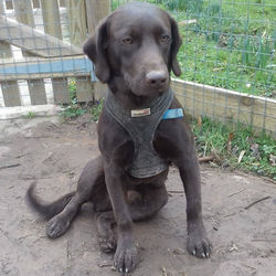 original?tenant=vbu-digital