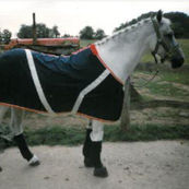 original?tenant=vbu-digital