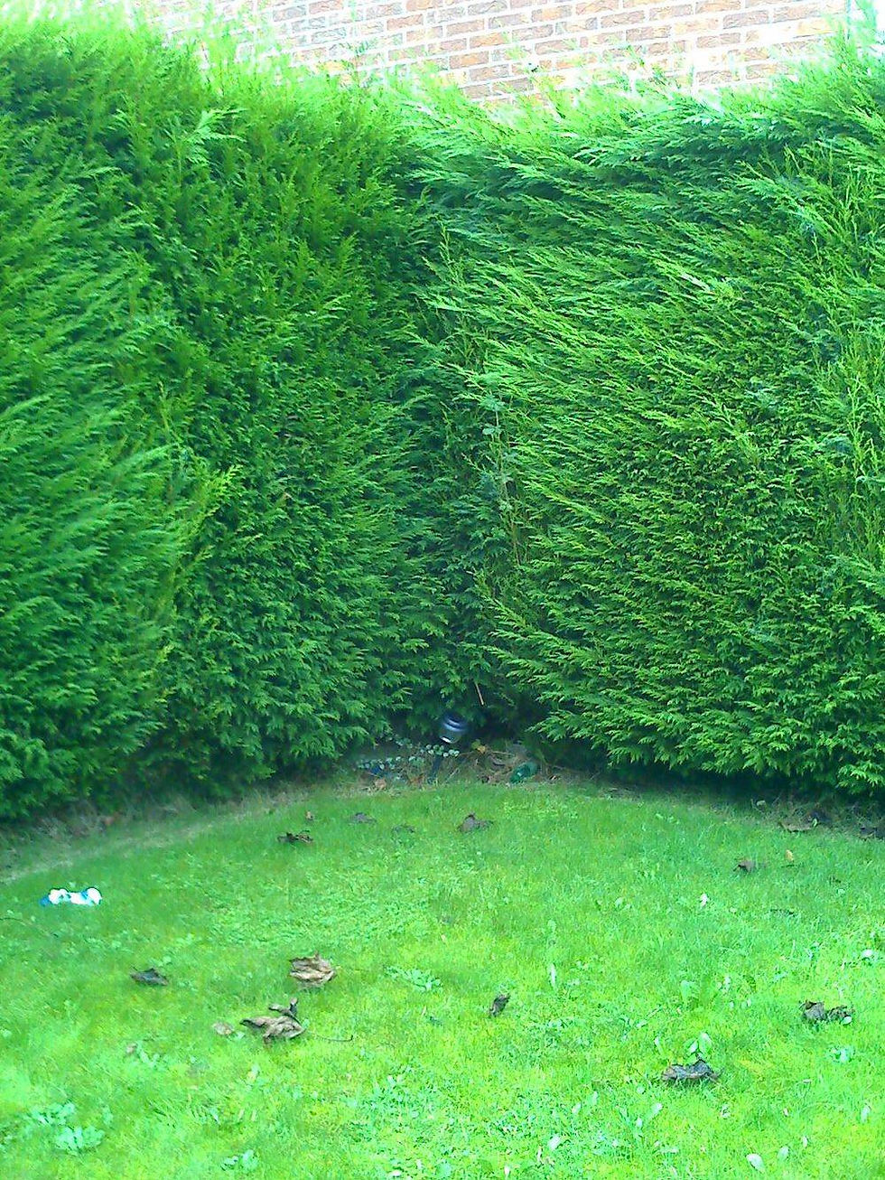 original?tenant=vbu-digital